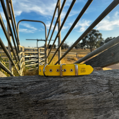 The Riverina Collar 3.0